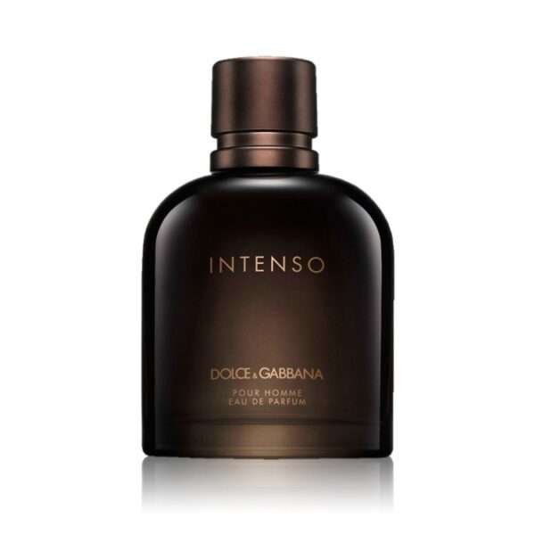 dolce gabbana intenso 1